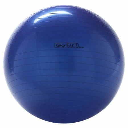 Exercise Go Fit Stability Ball 3 Exercise Go Fit Stability Ball