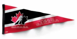 Hockey TSV NHL Pennant