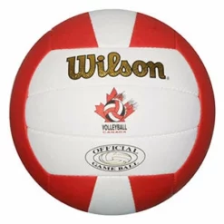 Wilson CVA Gold Official Outdoor Volleyball