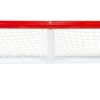 Winnwell Pond Hockey Net