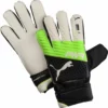 Puma EvoPower Protect 3.3 Soccer Goal Gloves